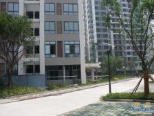 融侨苹果城 3室1厅 东南