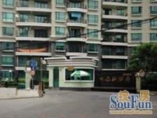 梧桐树下的正气四房 南北通风 聚财之屋