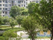 05年商品房!小区花园位置!毛坯状态好装修!