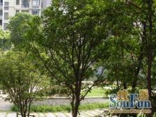 低总价,大三房,园林小区,诚意出售