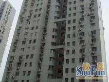 陆家嘴精装修+大面积电梯房+明珠+业主诚意出售+八佰伴