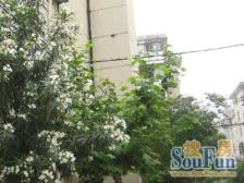 热销哇哦i 墙头外真新站双南婚房精装修 居中位置H金层必看必