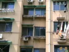 中原·金体苑·3室·1厅