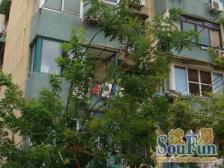 墙裂推荐 诚意出售 中间位置 配套齐全