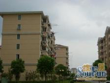 江中公寓 2室1厅 南