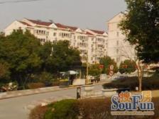 江中公寓小区花园位置大三房 大储物间