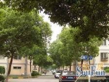 低楼层两房,位置好, 看房方便