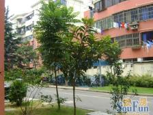 近地铁,拎包入住,通风好 精装,新上房源