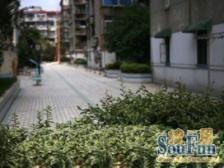 教学资源优质 全明户型 美丽家园小区 不靠高架