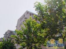 中华小区 2室0厅 南 北