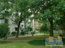 恒德花苑 1室1厅1卫 南