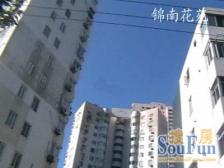 新上!四面明窗,三开间朝南,厨房20 平!