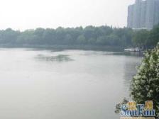 曹杨华庭电梯高区,视野好,采光好,诚意出售,看房方便。