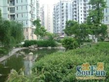 楼层高区视野采光好满五年南北通全明户型