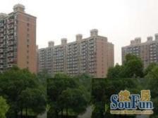 近地铁 电梯房 无抵押,现场实勘,必看好房