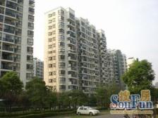 户型好位置好楼层好价格低小区独苗