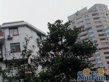 古北·宝石公寓·2室·2厅