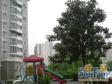 业主忍痛割爱南广场C位万科品质物业全明南北通诚意出