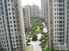 新上房源,丽都电梯高区一房,精装视野好,新嘉里在建