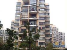 中原甄选好房,双地铁房,景观层,再次降价,房子看中,您出价