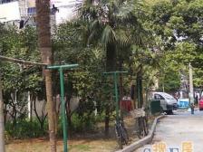 浦东世博·上南六村·3室·1厅