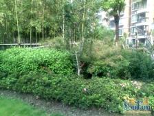 一梯两户小洋房小区后排带产权车位