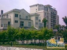 满五三新shubao,纯毛坯装修空间大