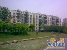 电梯公寓房,可上三新.70年产权普通住宅