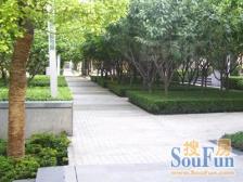 近地铁 通风好,采光好 中间楼层 新上房源