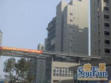 青春驿站 1室1厅 南