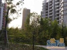 五洲云景花苑 2室2厅1卫 南