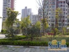 一楼送花园 沪亭北路烫金地段 新出房源