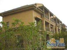 新上稀有联排别墅,东边套超大花园,位置好,小溪旁 F水好