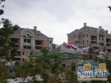 精装4房,电梯高区,小区央座,近金桥国际,双轨交通,建平未用