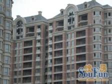 小区稀有4套独有在售户型,实际面积600平,楼Wang位置