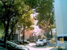 地铁口50米+漕溪公园里电梯三房 +精装修诚意出售