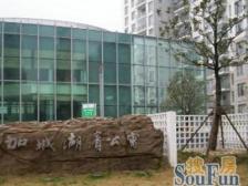 电梯房好楼层,东方之门旁烟雨桥站口,加城湖滨公寓一房,租益高