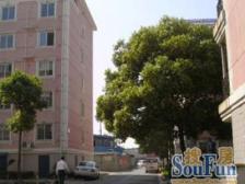 新上 胥江2号线 可以在房子里钓鱼 三房 带车库 诚售