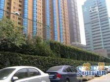 万科物业,满五税费少南北板楼户型采光好诚心出售