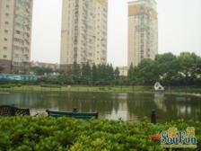 新出房源!得房率90%,密度低,绿化高,停车不发愁