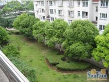 近地铁 采光好 无抵押,精装,急售房源