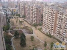 花园位置,前后无遮挡采光充足,面积小总价低电梯房