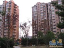 证大四期 新上电梯三房 中间楼层 园林小区 花园位置