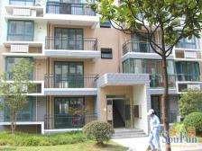 近地铁 采光好 干净清爽 上叠加 房东非常诚意 随