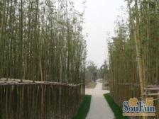 近地铁 无抵押,满五 ,带老人房送车位,送前后花园