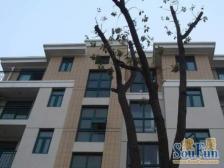 带产权车位,近地铁 通风好 拎包入住,产权清晰 新上房源