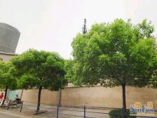 文化明珠苑两房两厅两卫可以当三房两卫前面无遮挡