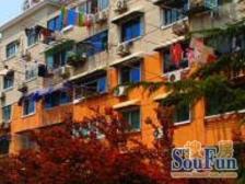 房东已购急售 靠近龙之梦 双南两房送院子 看房方便