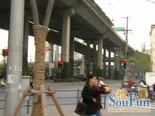 近地铁,电梯房 新上房源