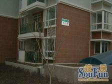 莘庄·春申**·2室·2厅